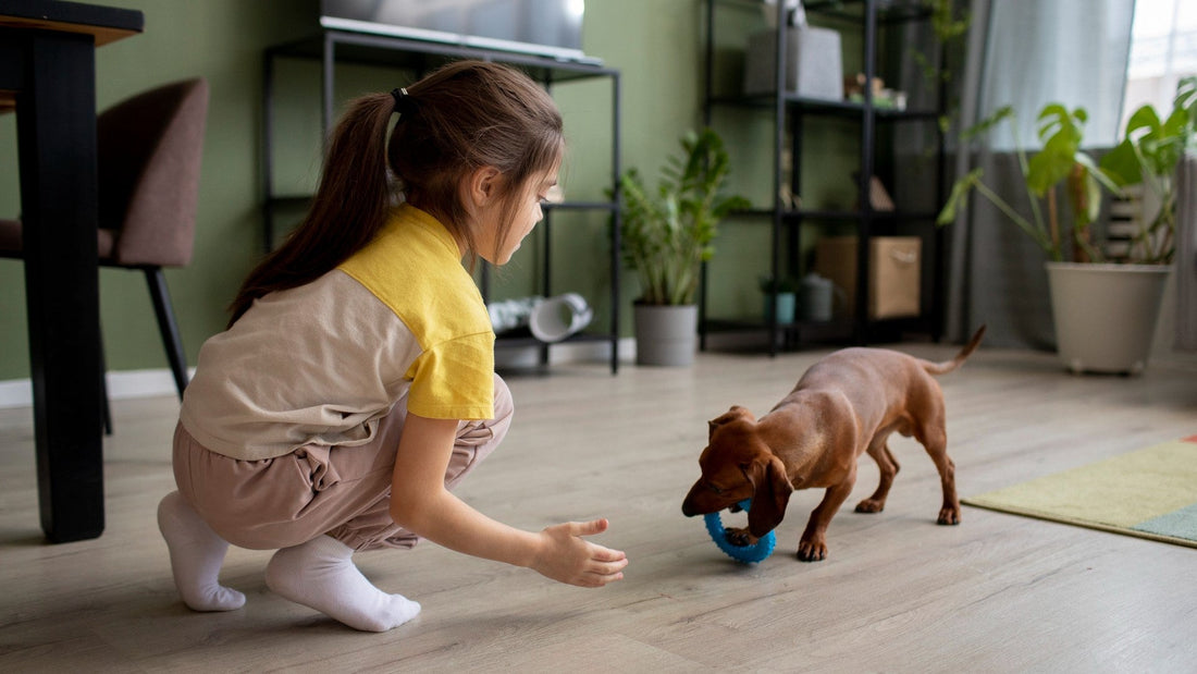 Top 10 Tips for Training Your New Puppy Successfully