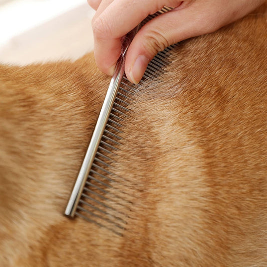Dog Grooming Comb Metal Dog Combs with Rounded Ends Stainless Steel Teeth Grooming Tool for Pets 4 Pcs