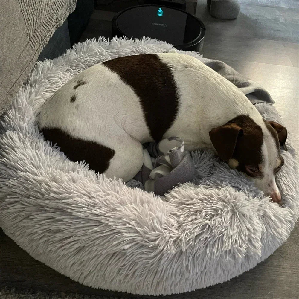 Super Soft Dog Bed Plush Cat Mat Dog Beds for Large Dogs Bed Labradors House round Cushion Pet Product Accessories