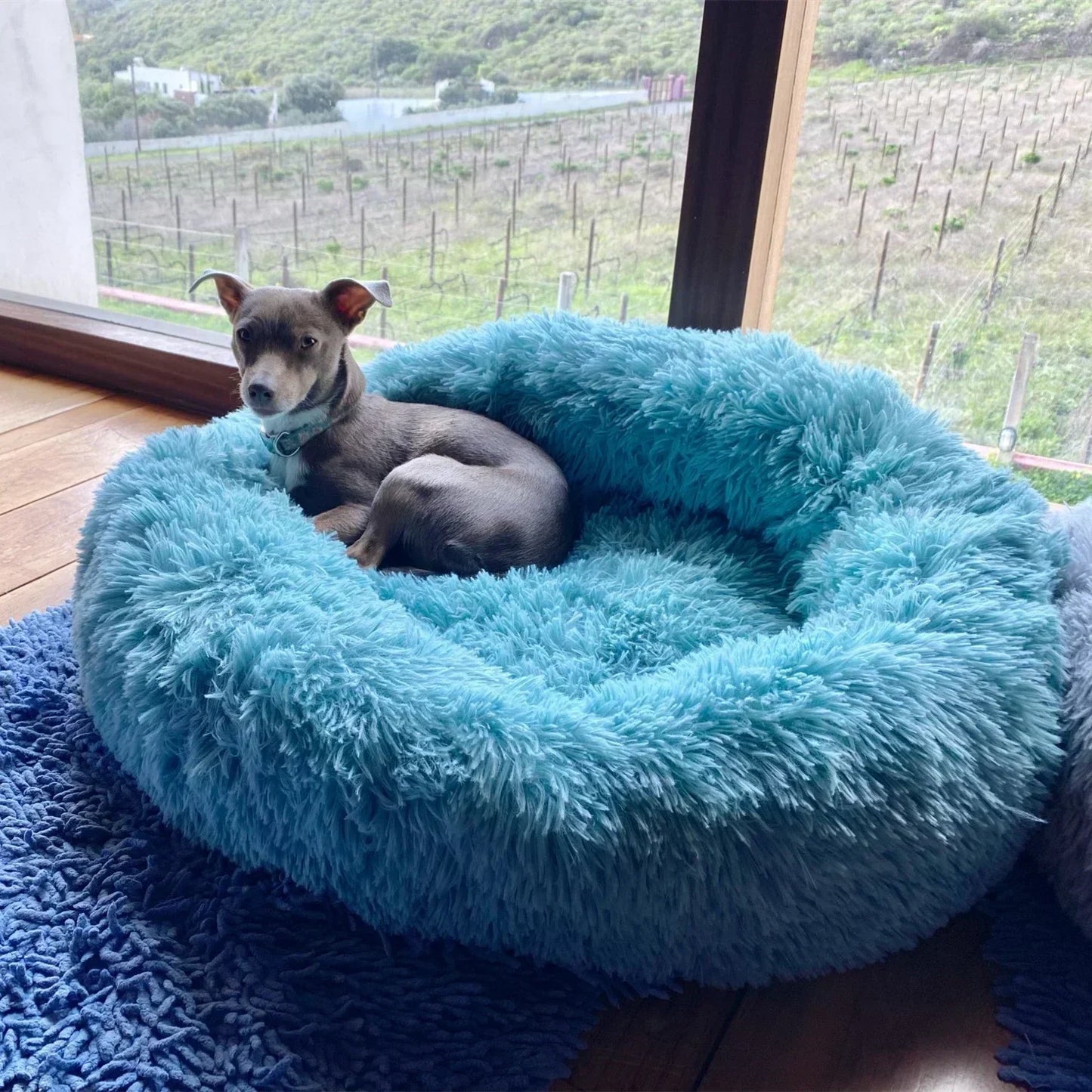Super Soft Dog Bed Plush Cat Mat Dog Beds for Large Dogs Bed Labradors House round Cushion Pet Product Accessories