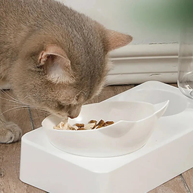 Dual-Purpose Pet Bowl Tilt to Protect Cervical Vertebrae Dog Food Bowl Automatic Drinking Feeder Pet Feeding Supplies